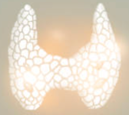 Hypothyroidism Patient Panel event image